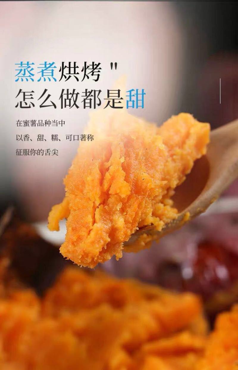 红薯一件代新鲜现挖沙地农家自种蜜薯地瓜红黄心番薯山芋批发