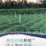 红薯一件代新鲜现挖沙地农家自种蜜薯地瓜红黄心番薯山芋批发