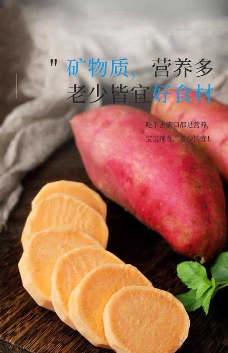 红薯一件代新鲜现挖沙地农家自种蜜薯地瓜红黄心番薯山芋批发