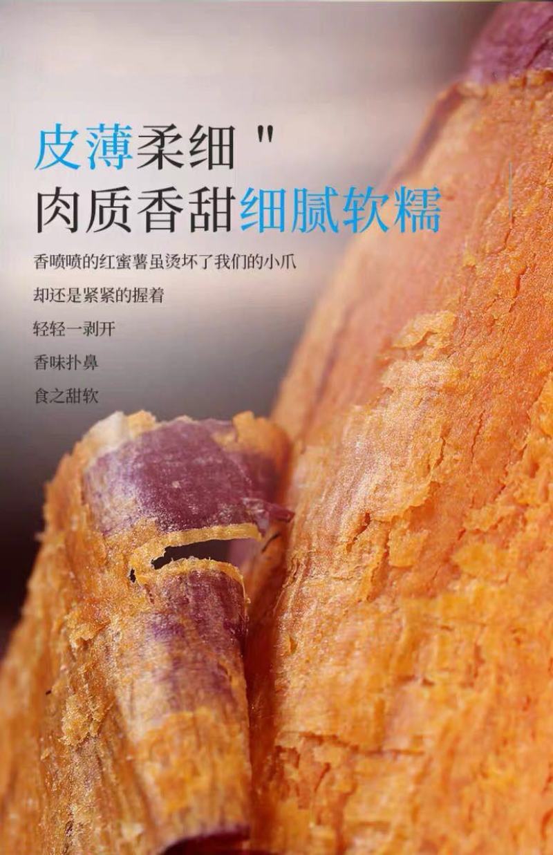 红薯一件代新鲜现挖沙地农家自种蜜薯地瓜红黄心番薯山芋批发