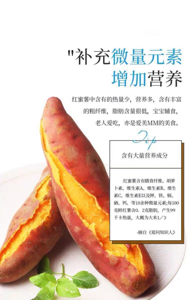 红薯一件代新鲜现挖沙地农家自种蜜薯地瓜红黄心番薯山芋批发
