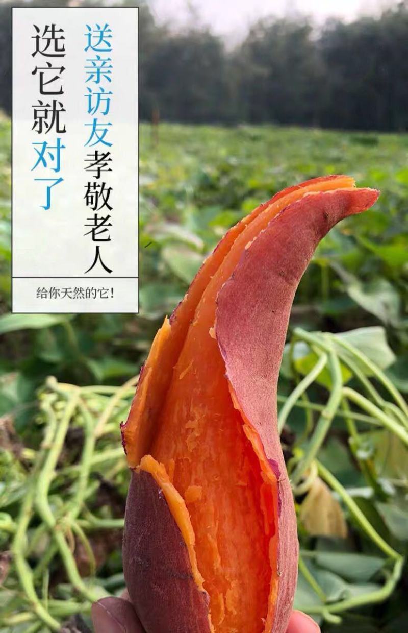 红薯一件代新鲜现挖沙地农家自种蜜薯地瓜红黄心番薯山芋批发