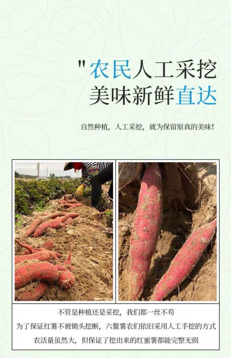 红薯一件代新鲜现挖沙地农家自种蜜薯地瓜红黄心番薯山芋批发