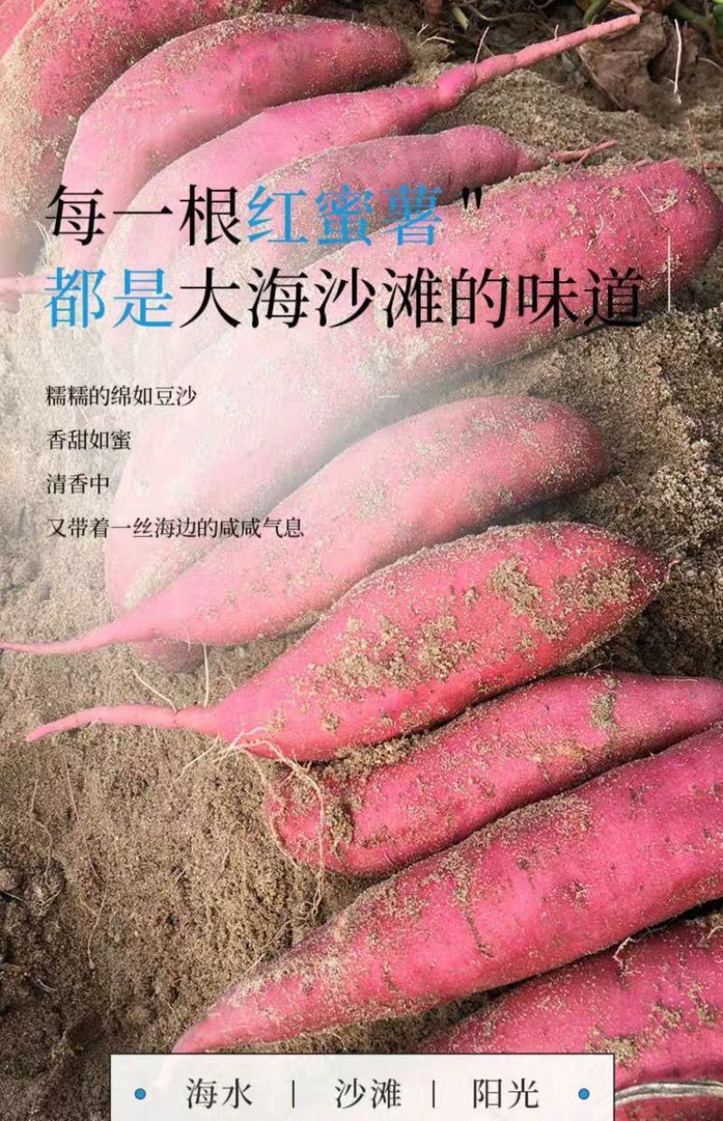 红薯一件代新鲜现挖沙地农家自种蜜薯地瓜红黄心番薯山芋批发