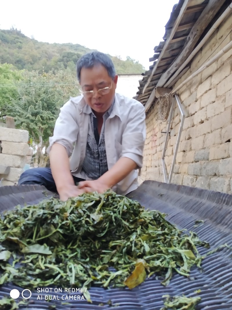 揭阳市普宁梅林镇市凤凰单丛茶