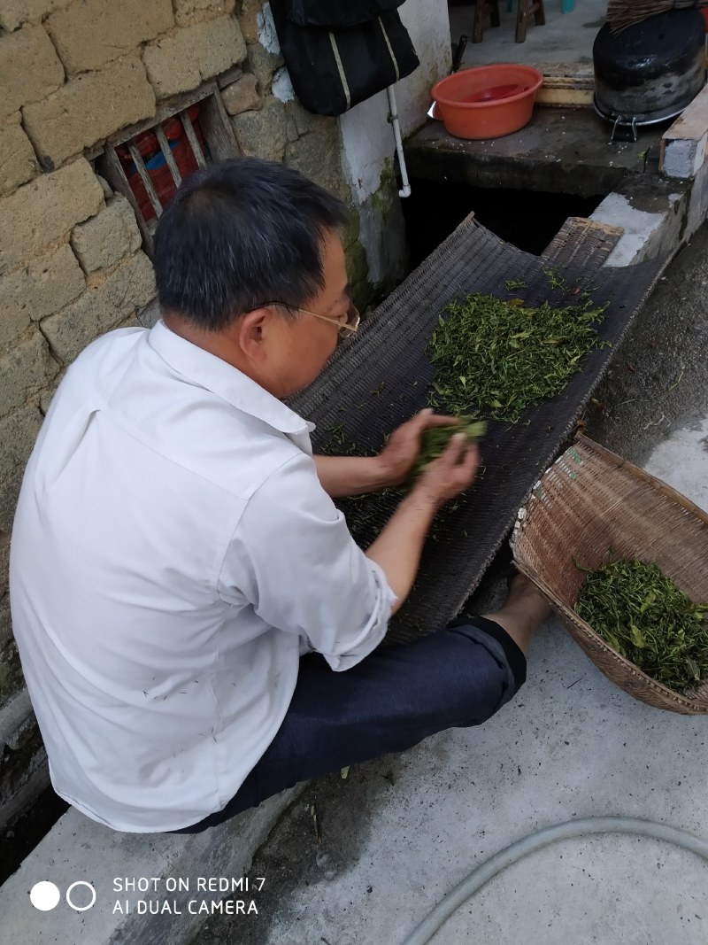 揭阳市普宁梅林镇市凤凰单丛茶