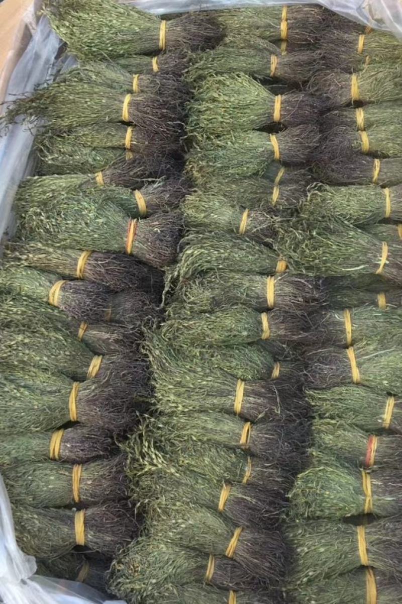 正宗独脚金！疳积草！纯干货无黄，颜色青绿！！质量保证！！