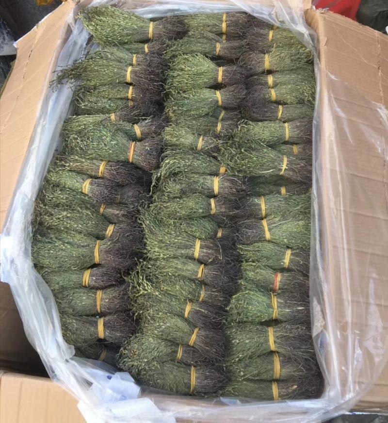 正宗独脚金！疳积草！纯干货无黄，颜色青绿！！质量保证！！