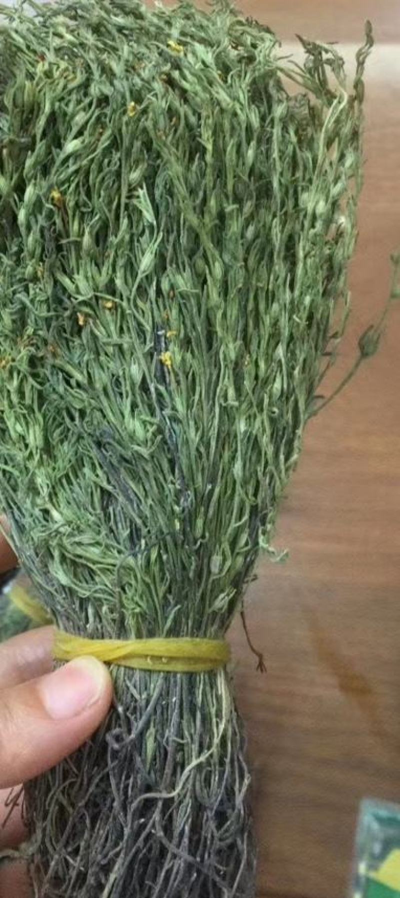 正宗独脚金！疳积草！纯干货无黄，颜色青绿！！质量保证！！