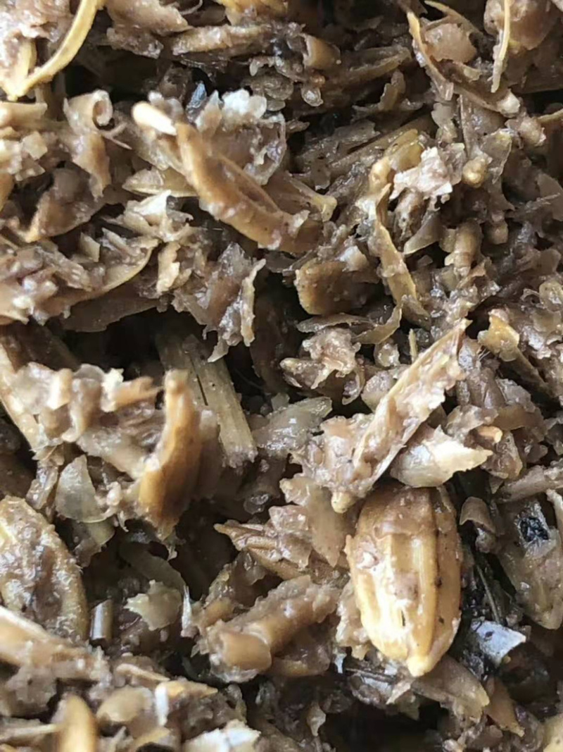 新鲜大米酒糟，酒糟，牛饲料，营养高，酒香味浓郁，适口性好