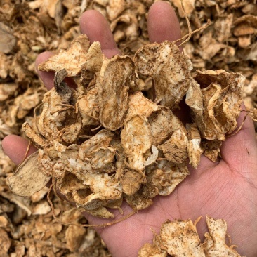 黄精统片云南产区野生甜黄精药厂投料货一手货源