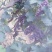 精品《软枝巨峰葡萄》大量上市中，口感超甜，可视频看货
