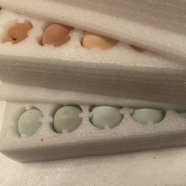 土鸡蛋珍珠棉蛋托鸭蛋泡沫蛋托快递运输包装