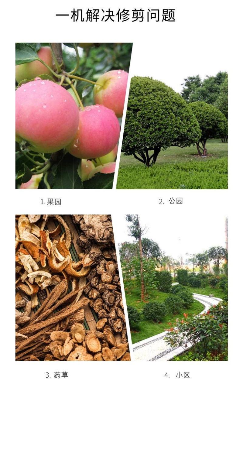 德国多功能家用电动剪刀果树剪子充电式园林电动修剪机树枝修