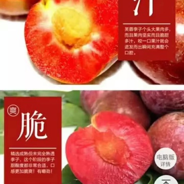 福建芙蓉李大量出售。