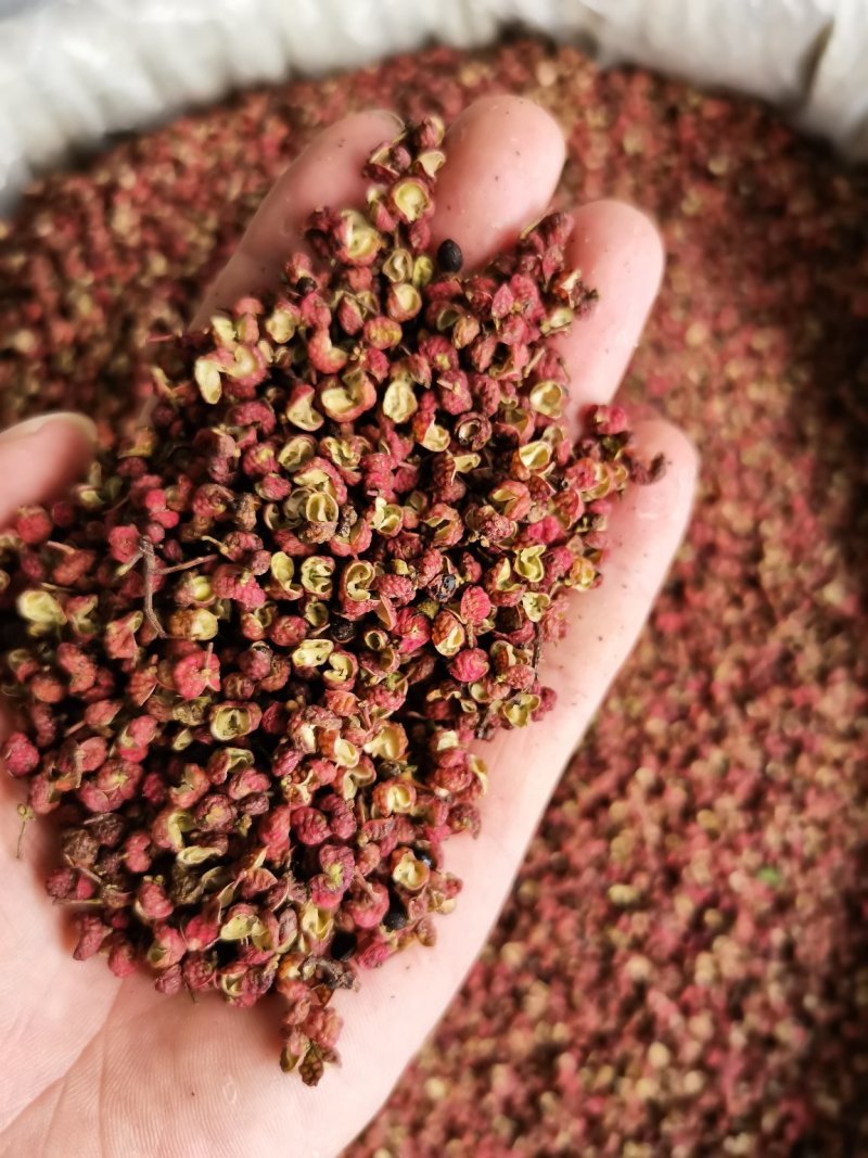 韩城大红袍花椒新货，山东花椒，茂文红麻椒，重庆青麻椒