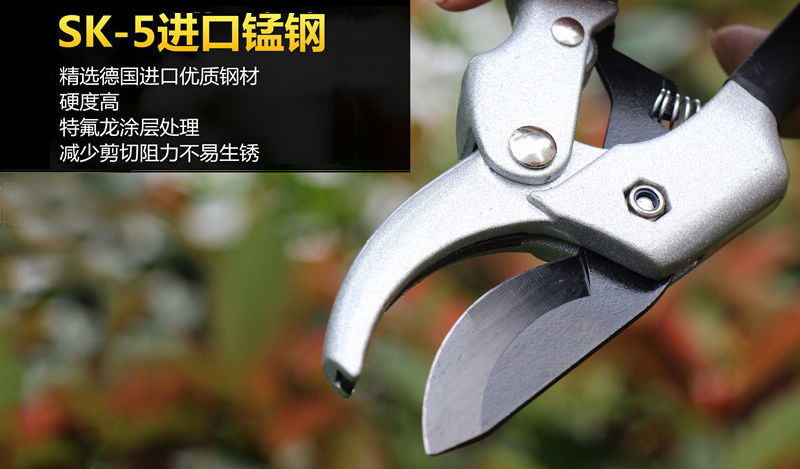 树粗枝剪刀修枝剪刀园林花花艺剪园艺剪刀修花工具花剪果树枝