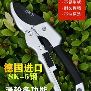 树粗枝剪刀修枝剪刀园林花花艺剪园艺剪刀修花工具花剪果树枝