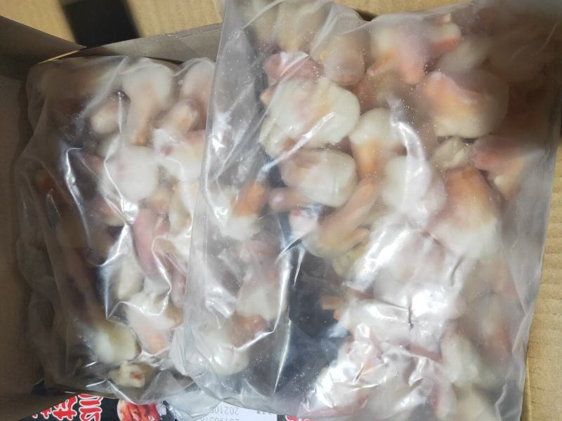 兰花蚌，刺身兰花蚌，上海现货，大量批发。