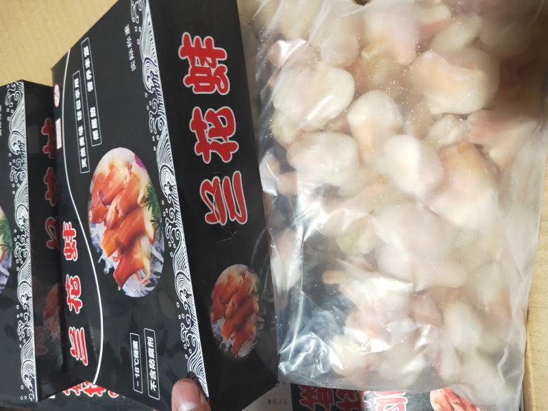 兰花蚌，刺身兰花蚌，上海现货，大量批发。