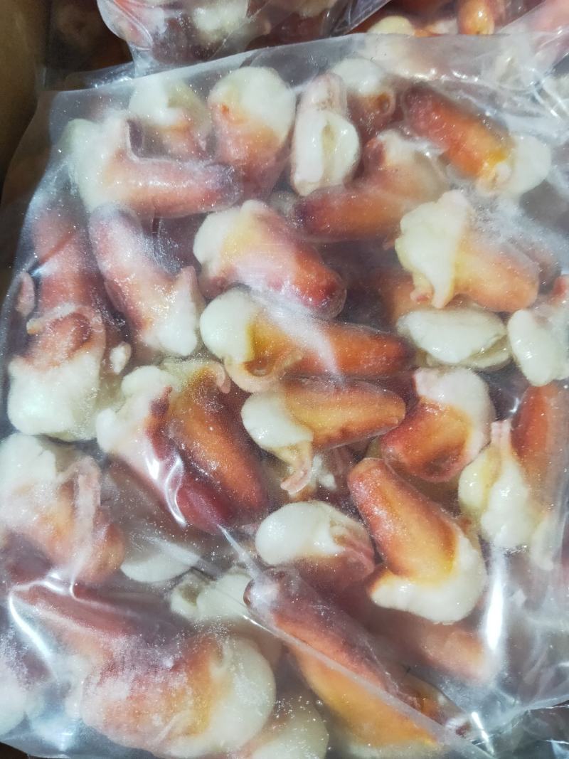 兰花蚌，刺身兰花蚌，上海现货，大量批发。