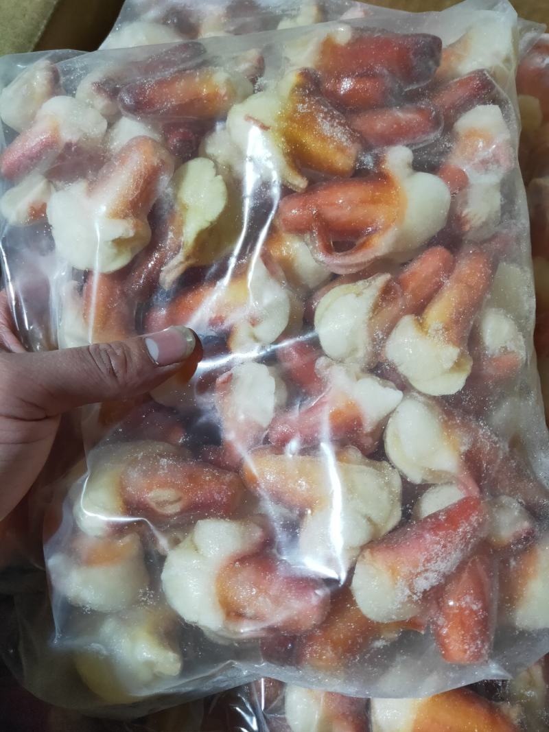 兰花蚌，刺身兰花蚌，上海现货，大量批发。