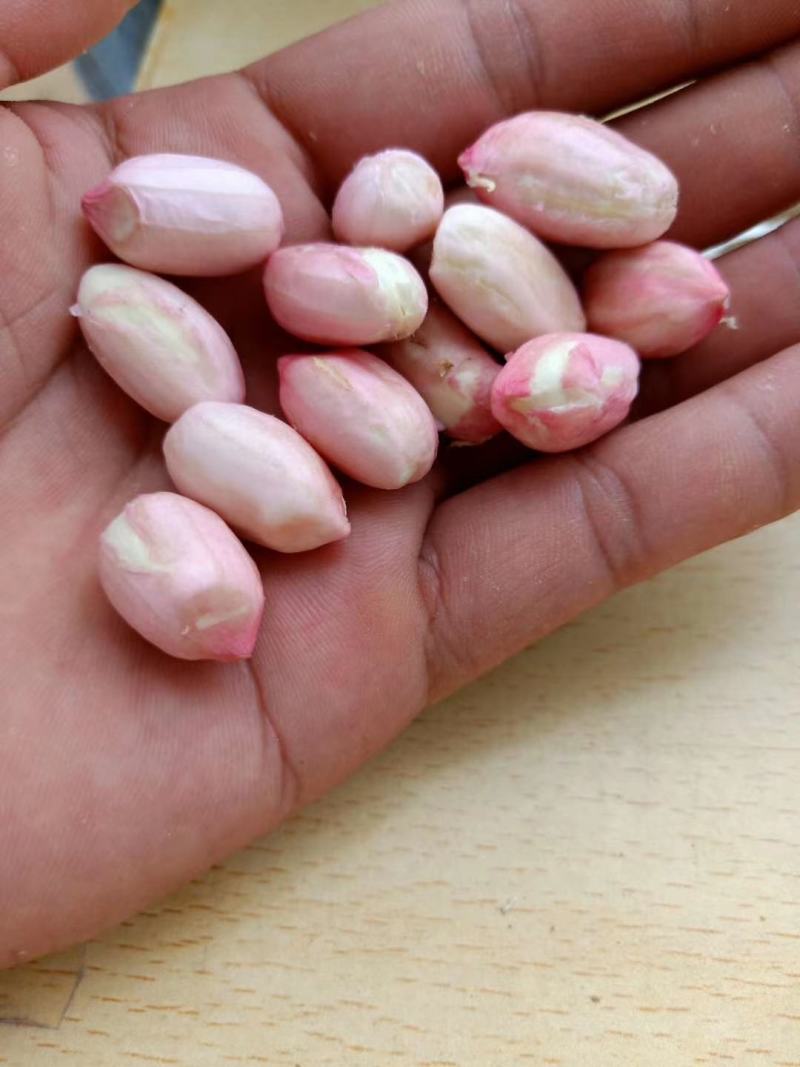 过筛子手捡果，精品鲜花生，产地直发，负责找车