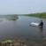 江苏淡水龙虾苗，种虾繁育基地专业养殖15年