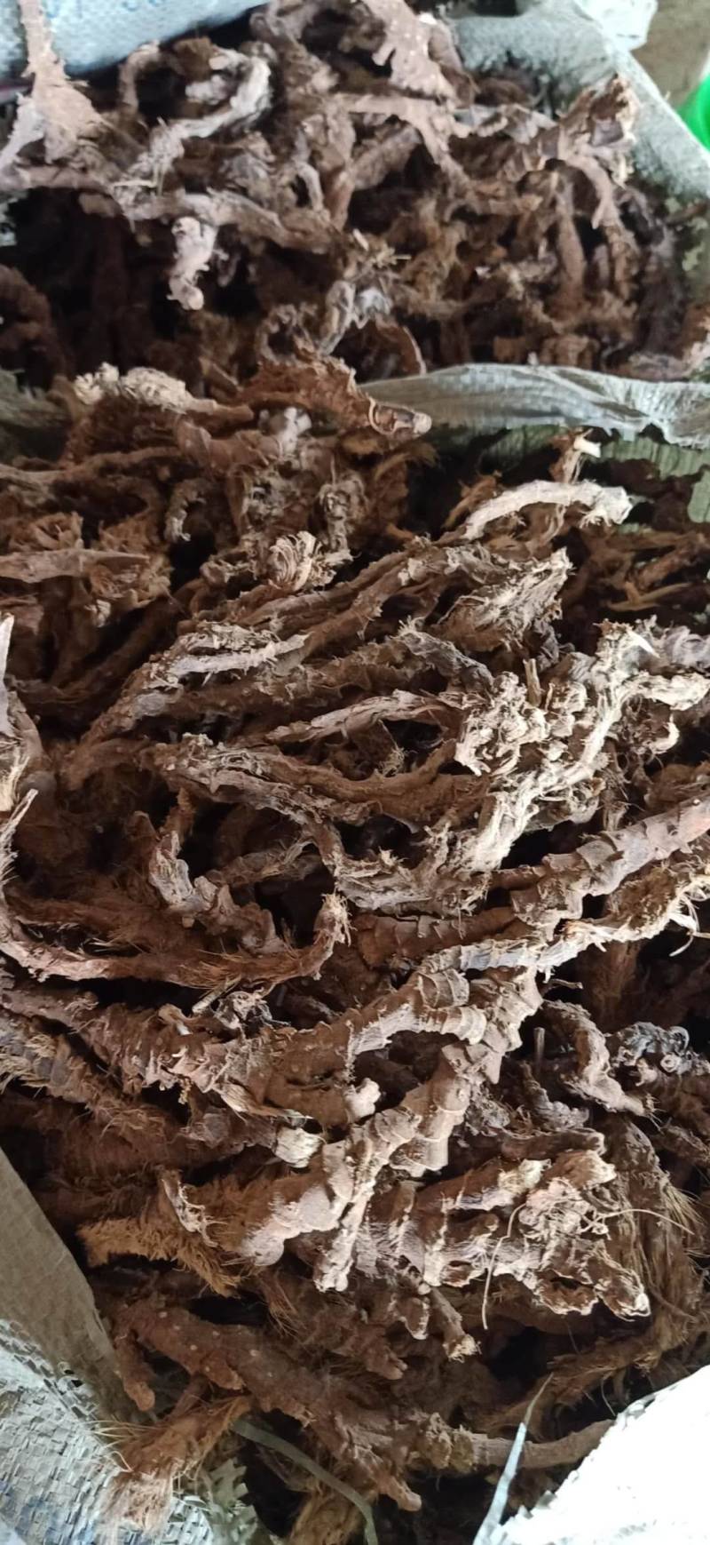 石菖蒲，石菖蒲干货，山区野生石菖蒲