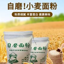 河南农家自磨面粉5斤/9斤通用面粉不增白无添加包子馒头