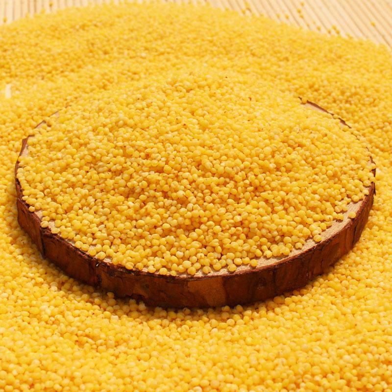 米脂黄小米新米5斤农家自产小米陕北养胃小黄米杂粮粥