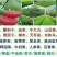 黑橄榄果核新鲜产地直销