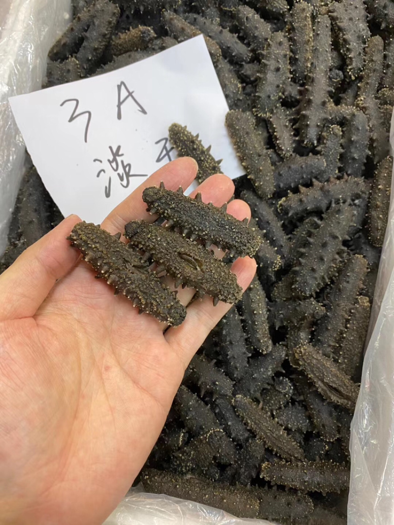 源头一手货直销3A大连淡干辽参80到80头批发