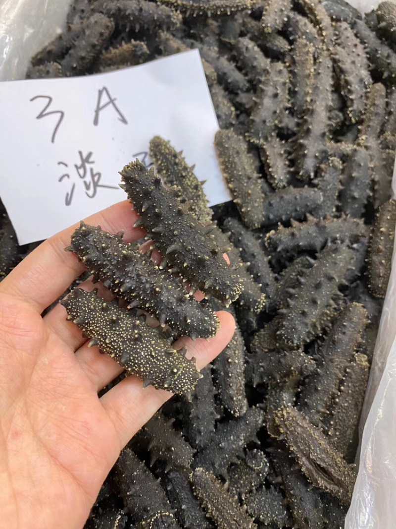 源头一手货直销3A大连淡干辽参80到80头批发