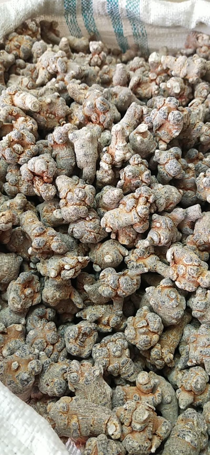 田七云南文山滑头三七(可代磨粉)