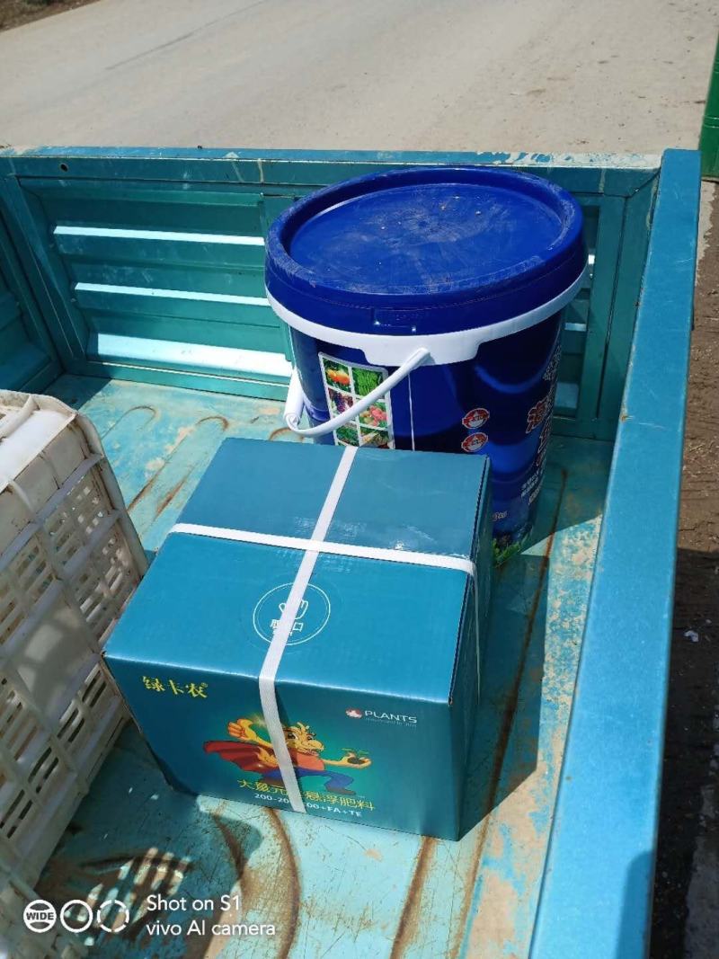 海藻精鱼蛋白促生根壮苗保花保果膨果着色快抗早衰易吸收