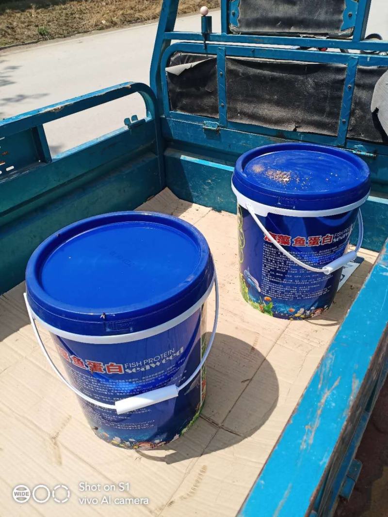 海藻精鱼蛋白促生根壮苗保花保果膨果着色快抗早衰易吸收
