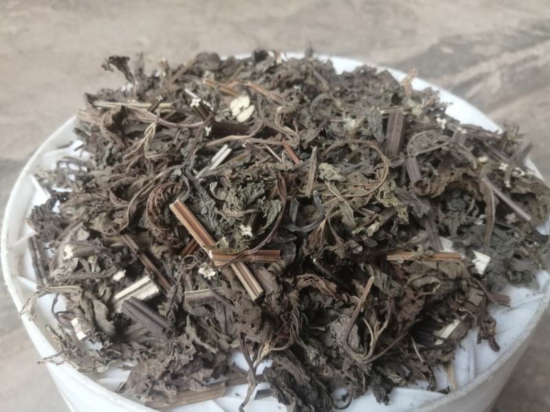 广东溪黄草，苦溪黄草，优质溪黄草，质量保证欢迎下单