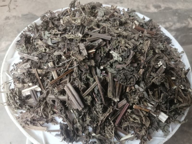 广东溪黄草，苦溪黄草，优质溪黄草，质量保证欢迎下单