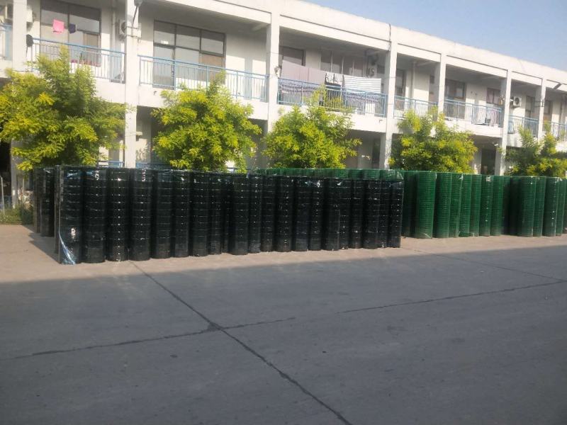 荷兰网养殖网野鸡养殖网圈地荷兰网铁丝网隔离防护网