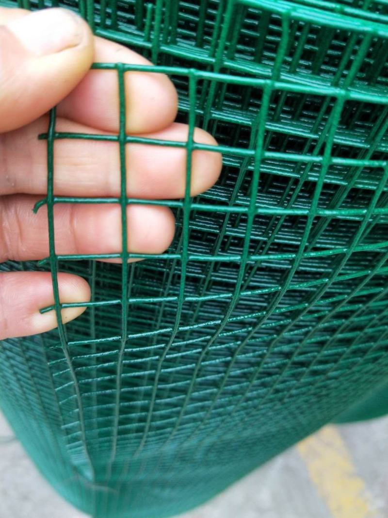 养殖网小鸡养殖围栏用网