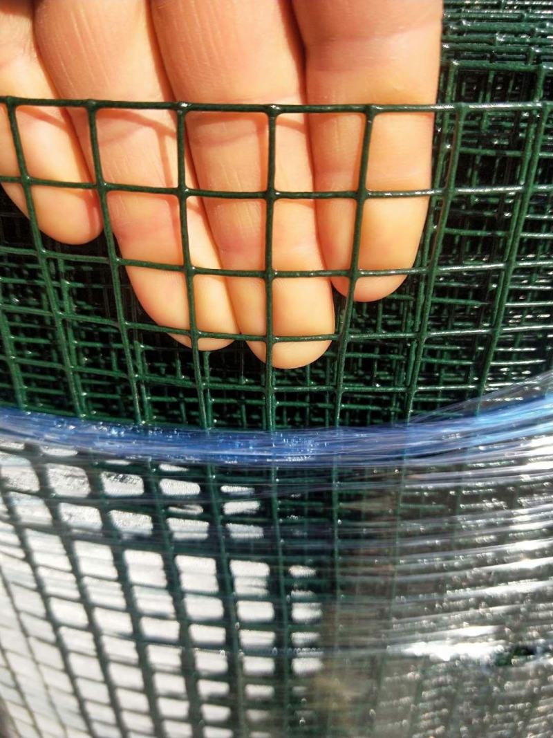 小孔养殖网小鸡养殖围栏网