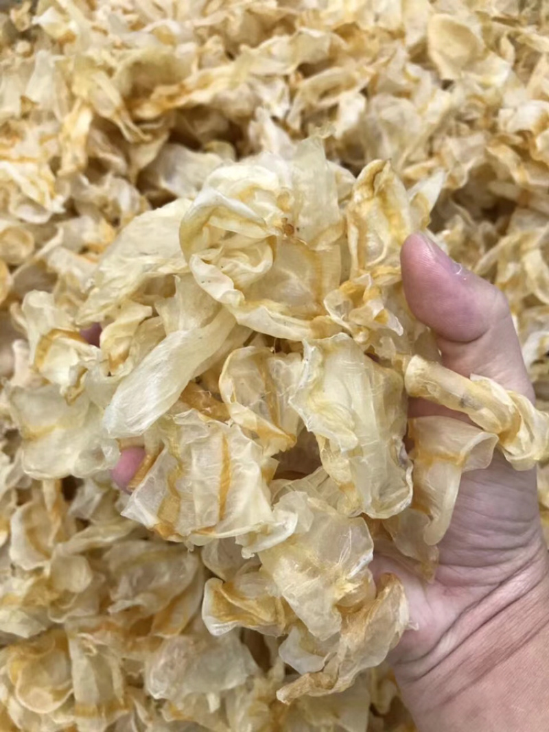 红鱼肚中号足干胶质好