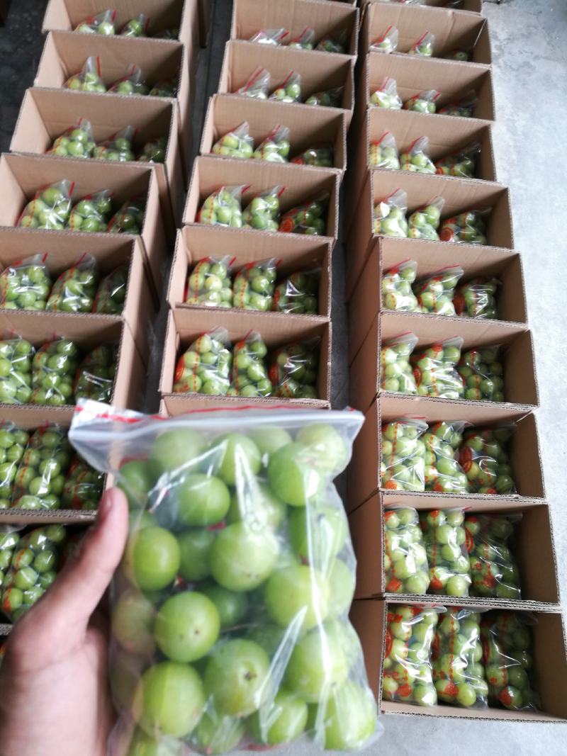 油甘牛柑果广东潮汕牛柑果油甘子货源充足厂家采购腌制榨汁