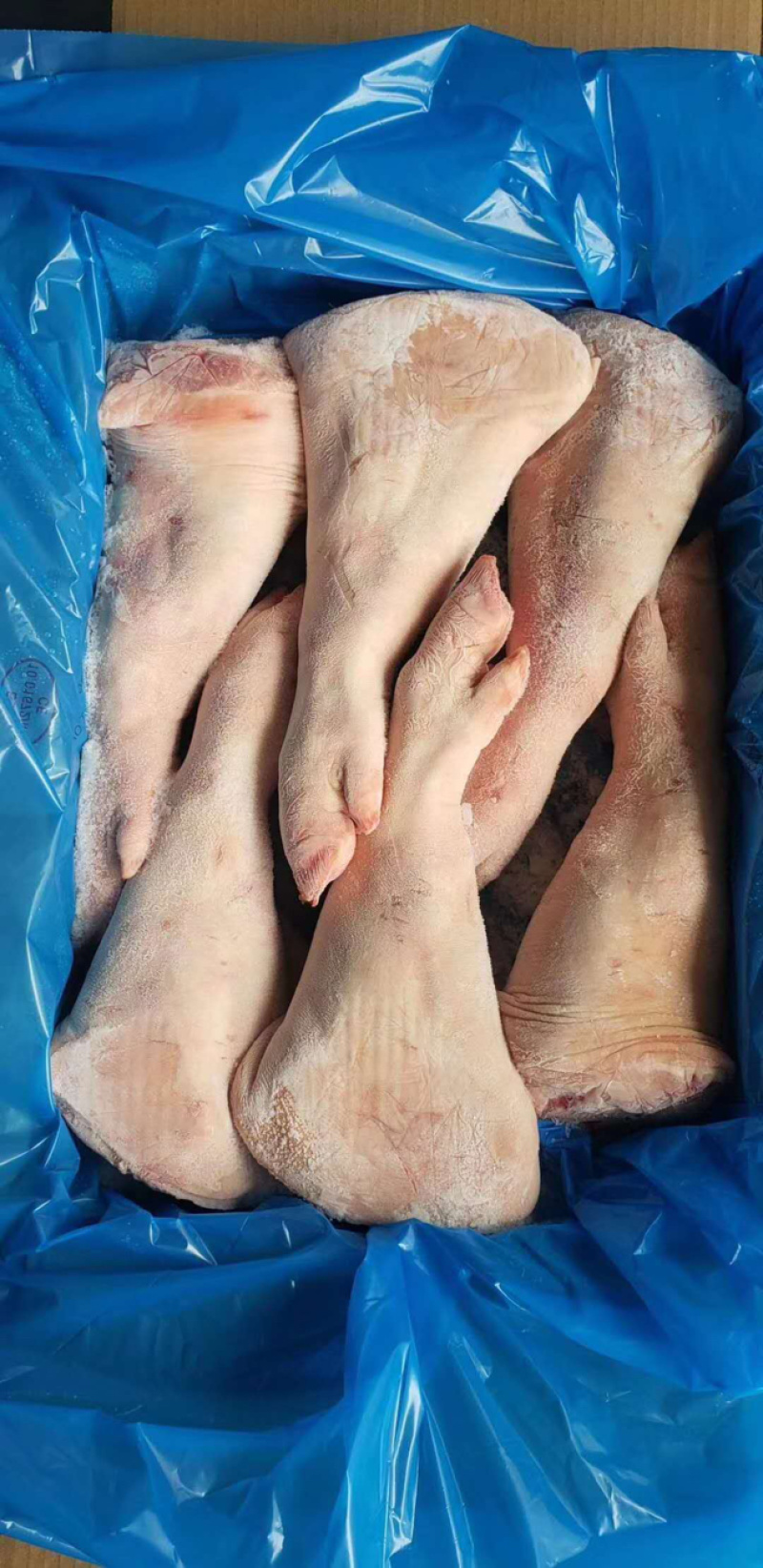 1672猪手踭有现货
