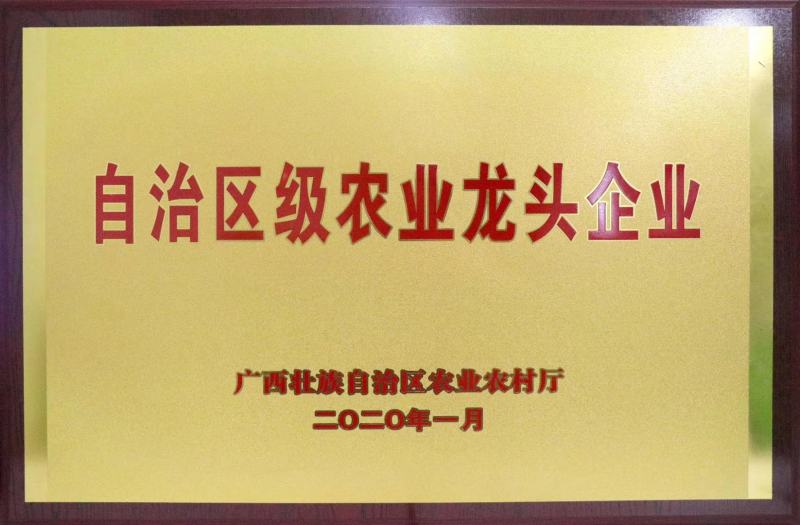 红宝石青柚果品质口感较好，品质优等货源充足