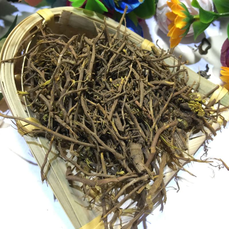 马尾莲草黄莲马尾连可打粉批发零售中药材