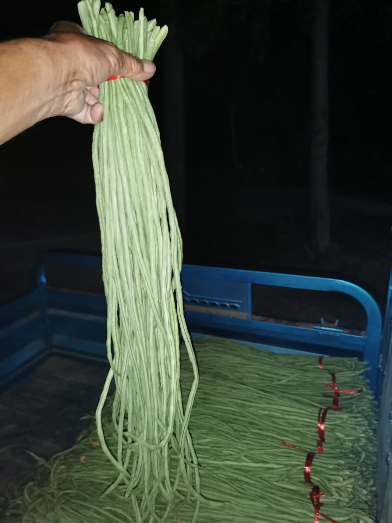 我处有，长隆豆角，质量很好，
