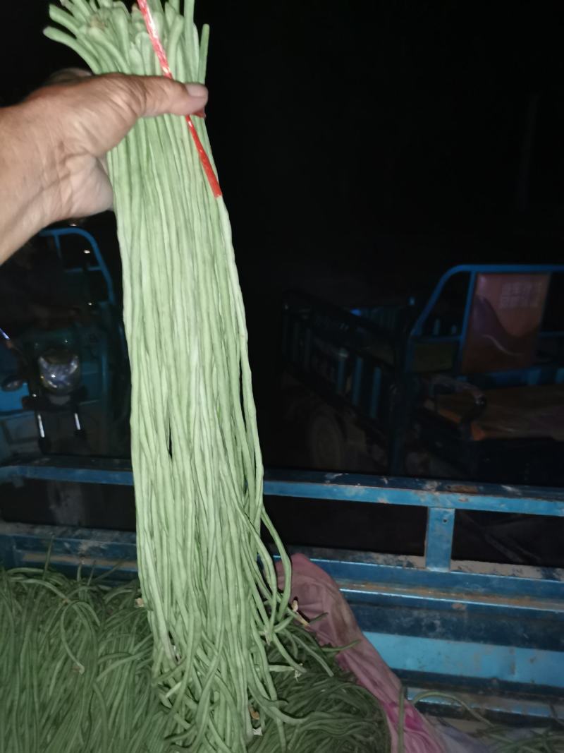 我处有，长隆豆角，质量很好，