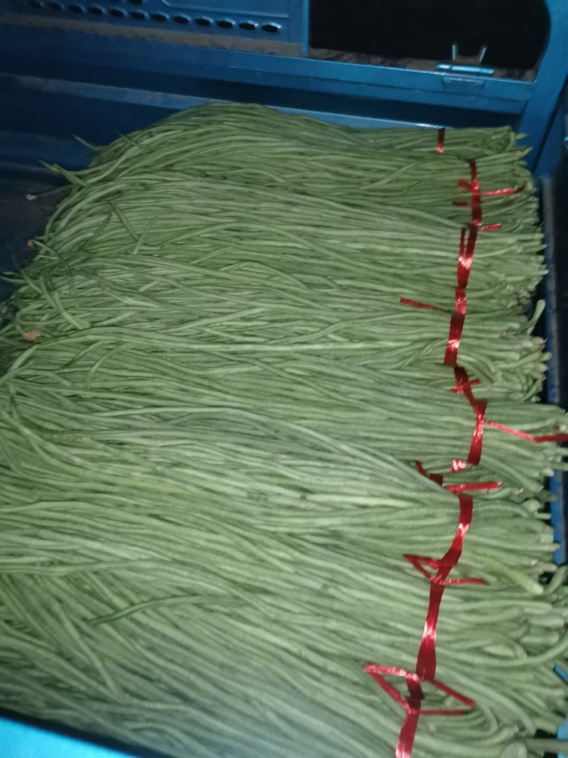 我处有，长隆豆角，质量很好，